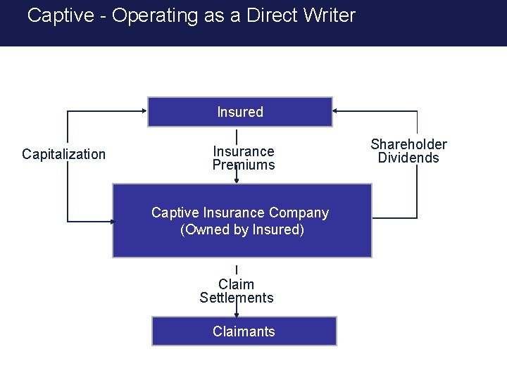 Captive - Operating as a Direct Writer Insured Capitalization Insurance Premiums Captive Insurance Company