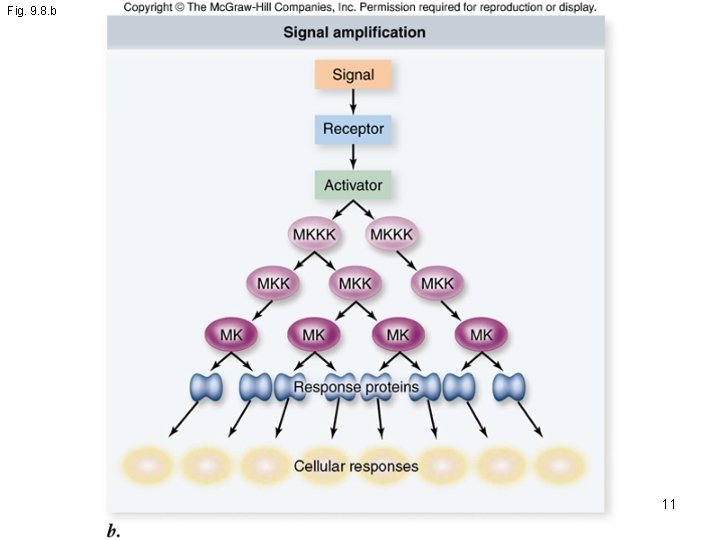 Fig. 9. 8. b 11 