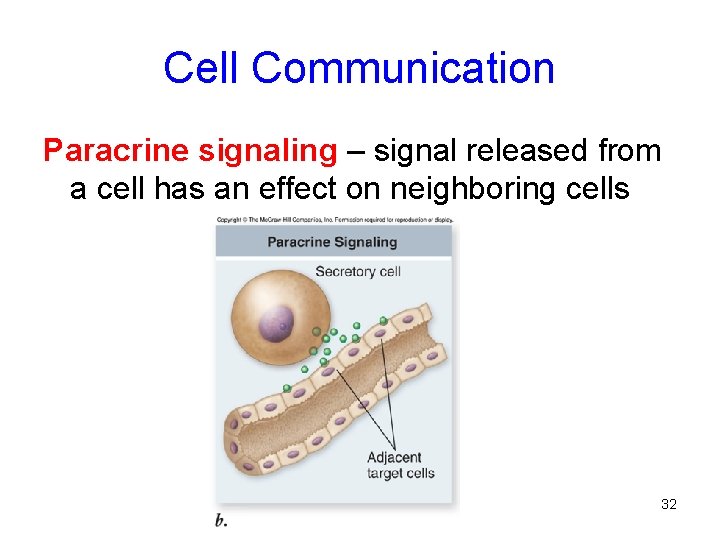 Cell Communication Paracrine signaling – signal released from a cell has an effect on