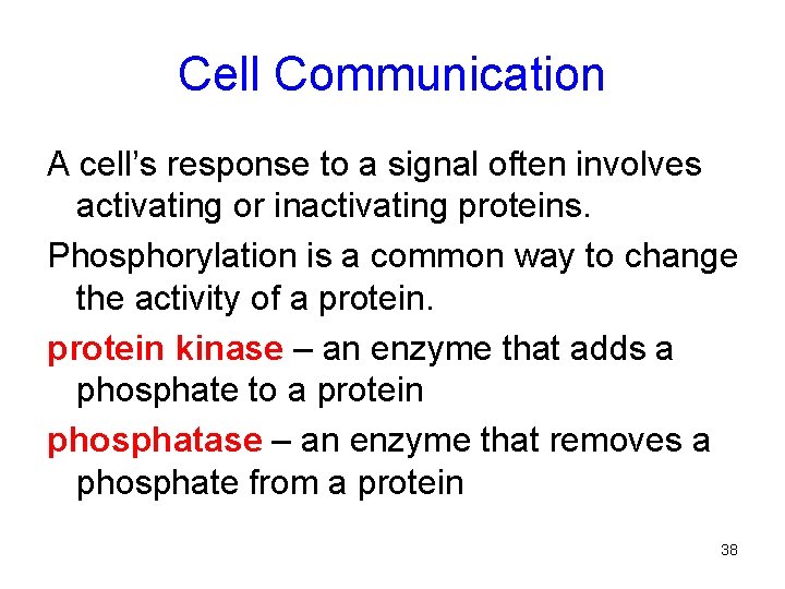 Cell Communication A cell’s response to a signal often involves activating or inactivating proteins.