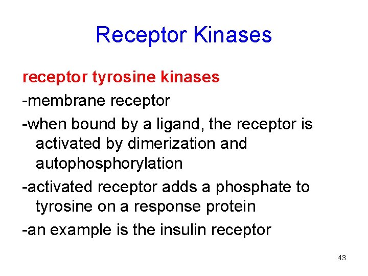 Receptor Kinases receptor tyrosine kinases -membrane receptor -when bound by a ligand, the receptor