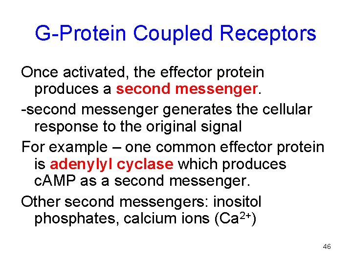 G-Protein Coupled Receptors Once activated, the effector protein produces a second messenger. -second messenger