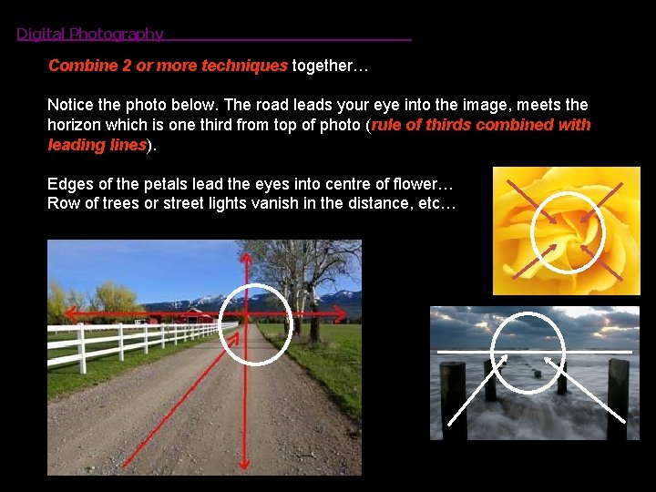 Digital Photography Combine 2 or more techniques together… Notice the photo below. The road