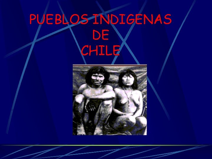 PUEBLOS INDIGENAS DE CHILE 