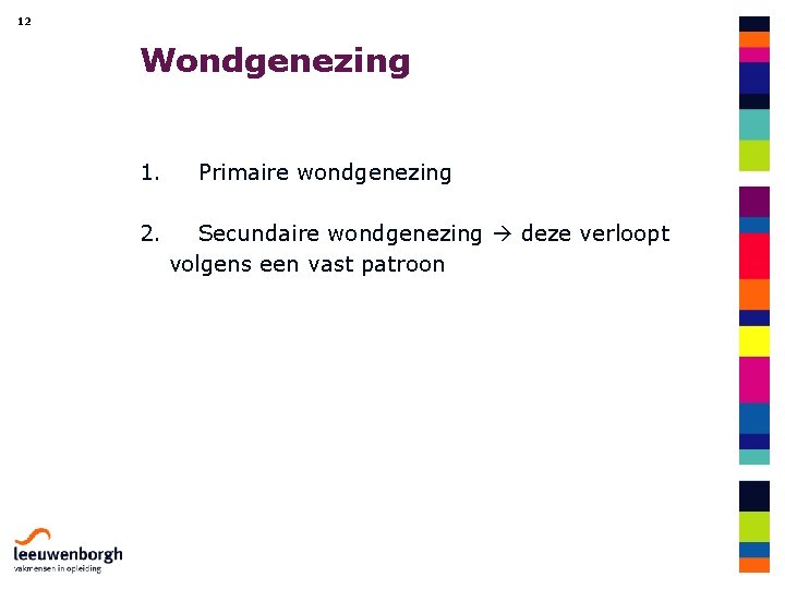 12 Wondgenezing 1. 2. Primaire wondgenezing Secundaire wondgenezing deze verloopt volgens een vast patroon