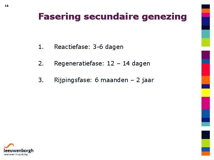 16 Fasering secundaire genezing 1. Reactiefase: 3 -6 dagen 2. Regeneratiefase: 12 – 14
