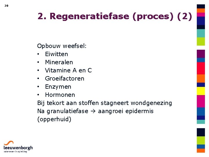 20 2. Regeneratiefase (proces) (2) Opbouw weefsel: • Eiwitten • Mineralen • Vitamine A