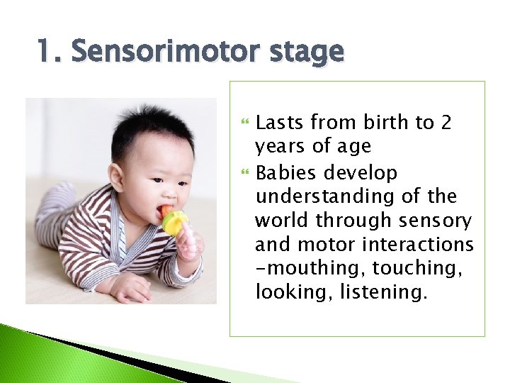 1. Sensorimotor stage Lasts from birth to 2 years of age Babies develop understanding 1. Sensorimotor stage Lasts from birth to 2 years of age Babies develop understanding