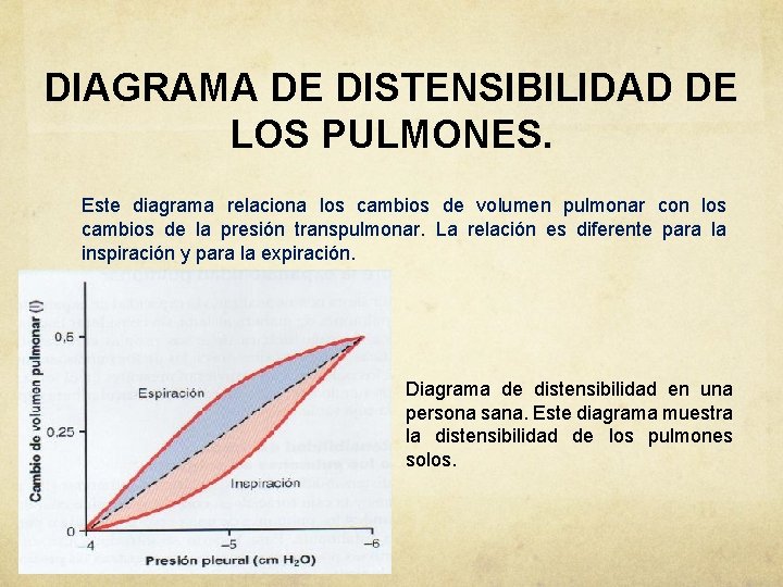 DIAGRAMA DE DISTENSIBILIDAD DE LOS PULMONES. Este diagrama relaciona los cambios de volumen pulmonar