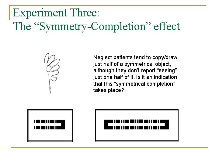 Experiment Three: The “Symmetry-Completion” effect Neglect patients tend to copy/draw just half of a