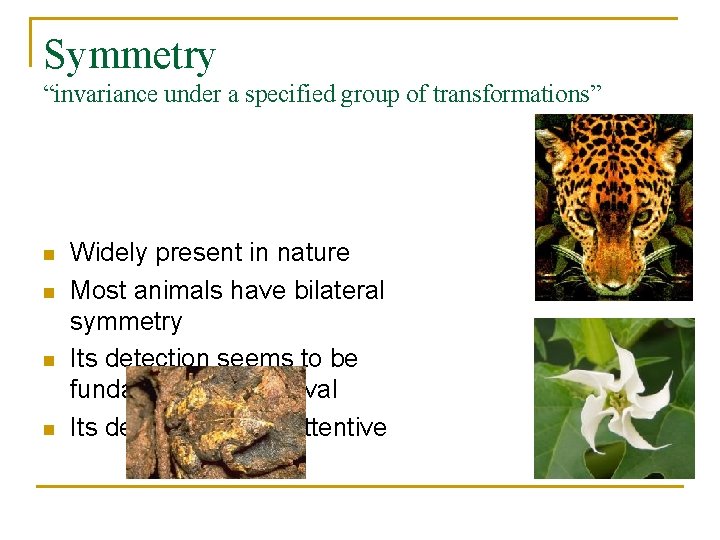 Symmetry “invariance under a specified group of transformations” n n Widely present in nature