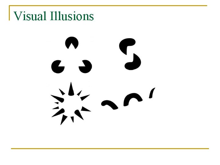 Visual Illusions 