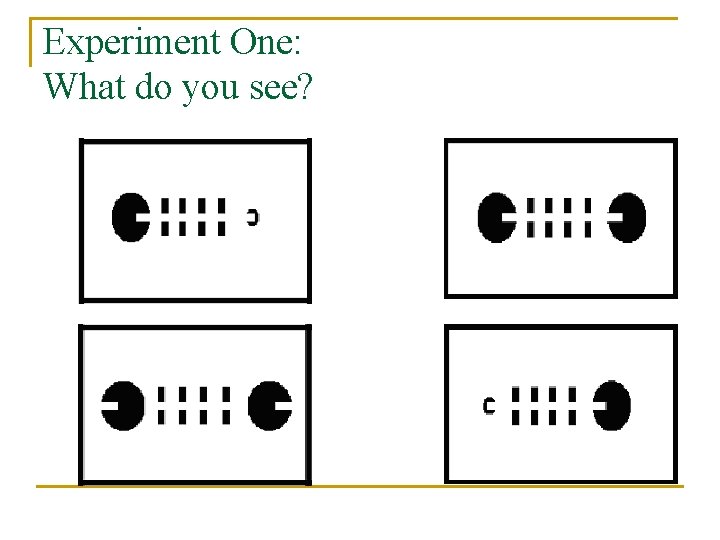 Experiment One: What do you see? 