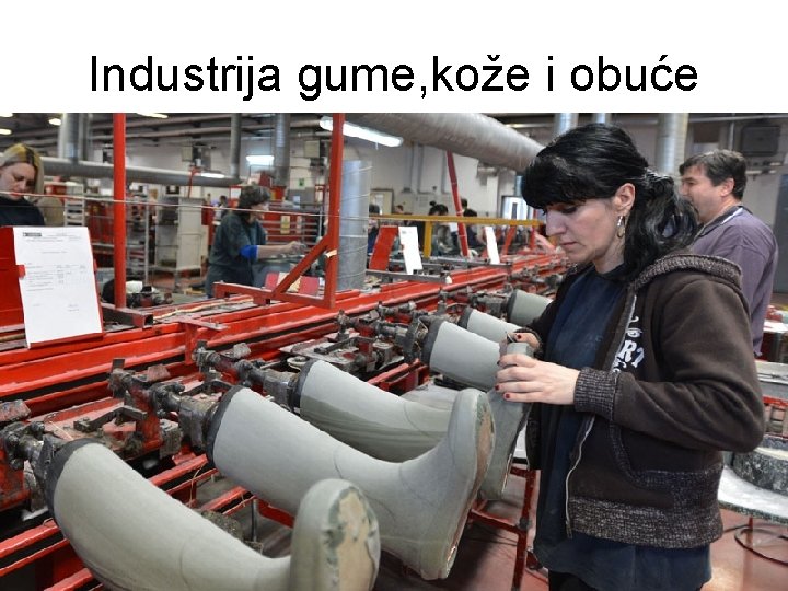 Industrija gume, kože i obuće Industrija gume, kože i obuće
