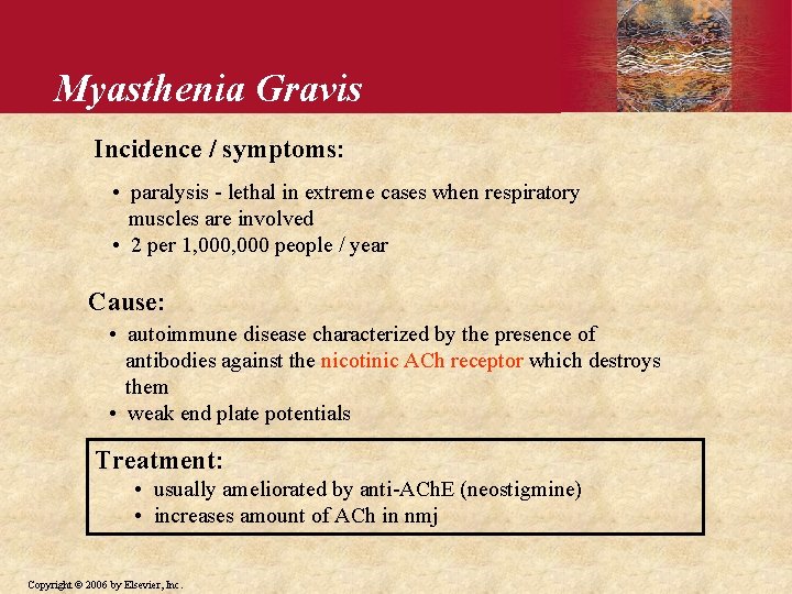 Myasthenia Gravis Incidence / symptoms: • paralysis - lethal in extreme cases when respiratory