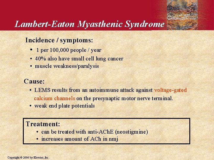 Lambert-Eaton Myasthenic Syndrome Incidence / symptoms: • 1 per 100, 000 people / year