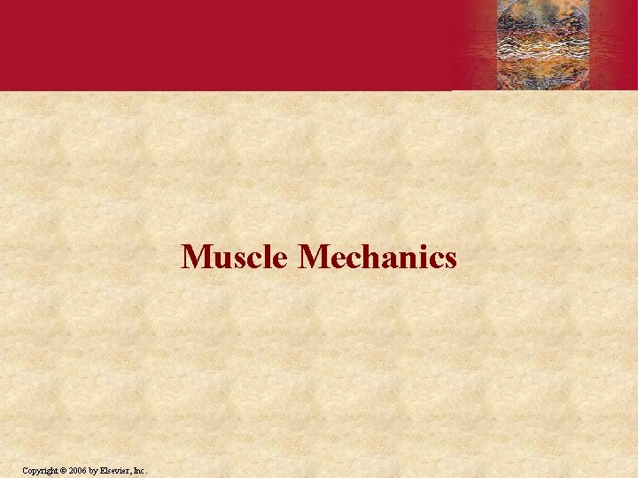 Muscle Mechanics Copyright © 2006 by Elsevier, Inc. 