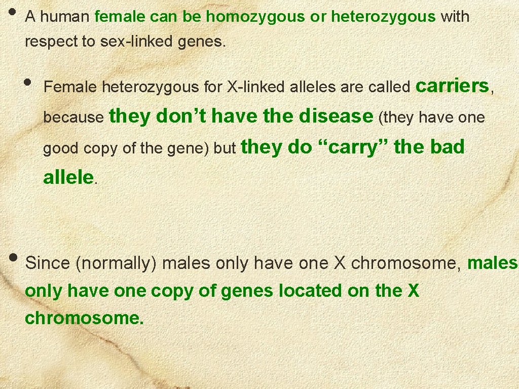  • A human female can be homozygous or heterozygous with respect to sex-linked