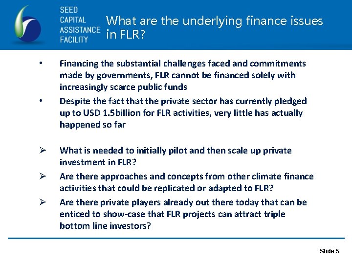 What are the underlying finance issues in FLR? • • Ø Ø Ø Financing