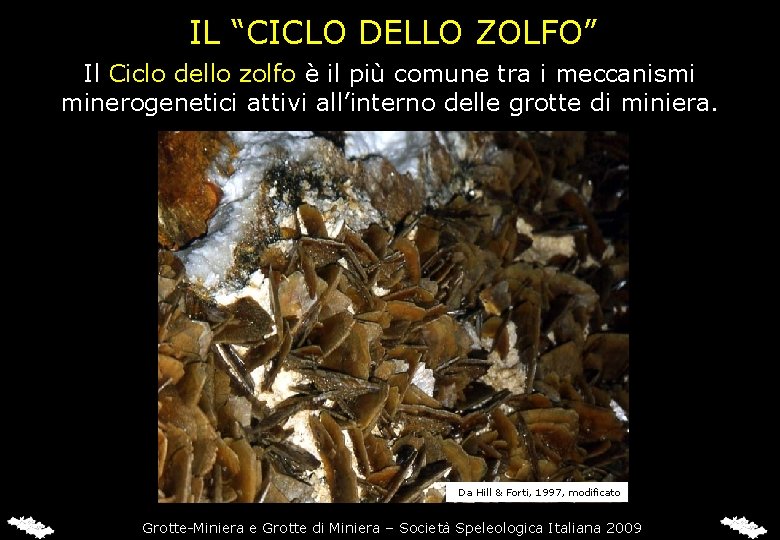 IL “CICLO DELLO ZOLFO” Il Ciclo dello zolfo è il più comune tra i