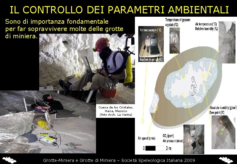 IL CONTROLLO DEI PARAMETRI AMBIENTALI Sono di importanza fondamentale per far sopravvivere molte delle IL CONTROLLO DEI PARAMETRI AMBIENTALI Sono di importanza fondamentale per far sopravvivere molte delle