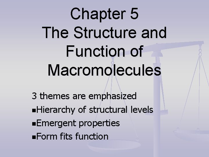 Chapter 5 The Structure and Function of Macromolecules 3 themes are emphasized n. Hierarchy