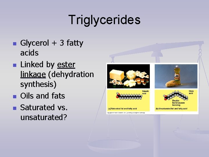 Triglycerides n n Glycerol + 3 fatty acids Linked by ester linkage (dehydration synthesis)
