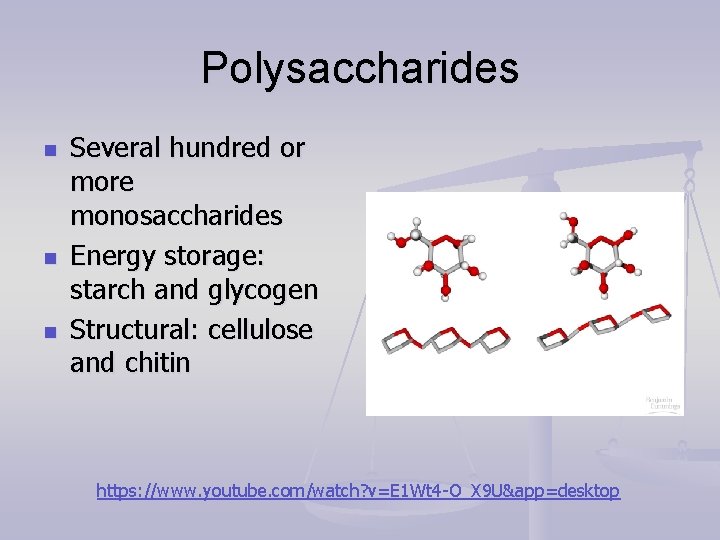 Polysaccharides n n n Several hundred or more monosaccharides Energy storage: starch and glycogen