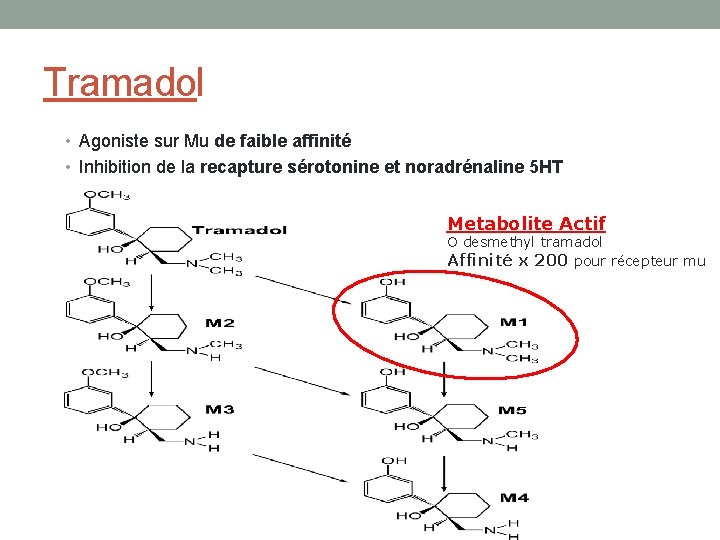 Tramadol • Agoniste sur Mu de faible affinité • Inhibition de la recapture sérotonine