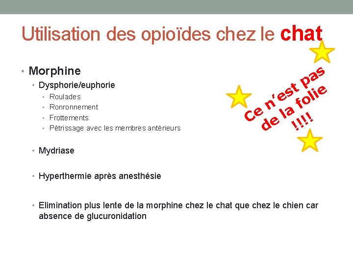 Utilisation des opioïdes chez le chat • Morphine • Dysphorie/euphorie • Roulades • Ronronnement