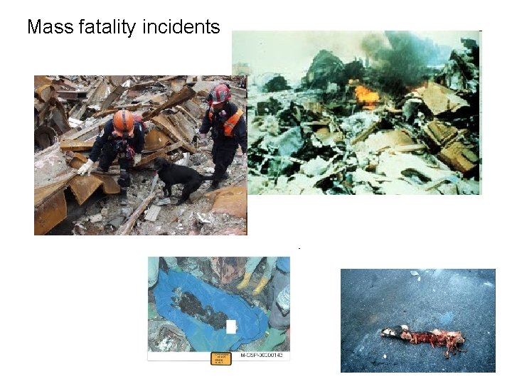 Mass fatality incidents 