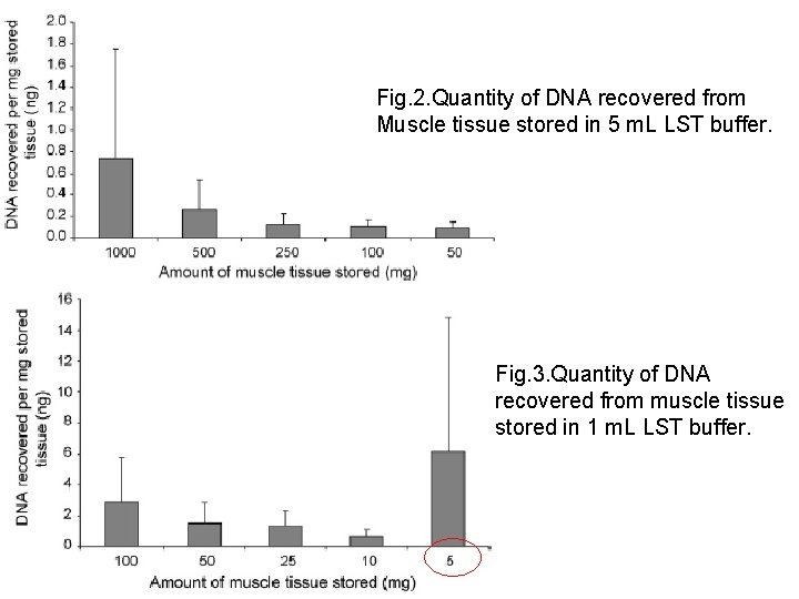 Fig. 2. Quantity of DNA recovered from Muscle tissue stored in 5 m. L