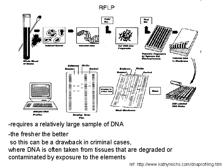 -requires a relatively large sample of DNA -the fresher the better so this can