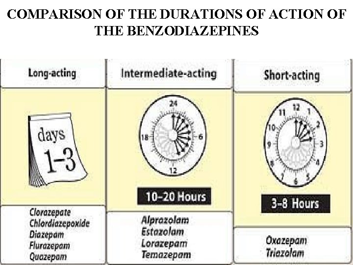 COMPARISON OF THE DURATIONS OF ACTION OF THE BENZODIAZEPINES 