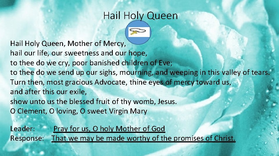 Hail Holy Queen, Mother of Mercy, hail our life, our sweetness and our hope,