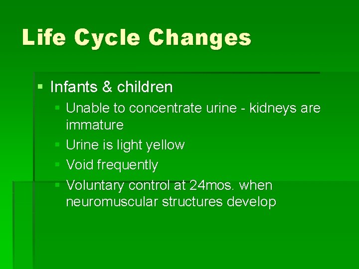 Life Cycle Changes § Infants & children § Unable to concentrate urine - kidneys