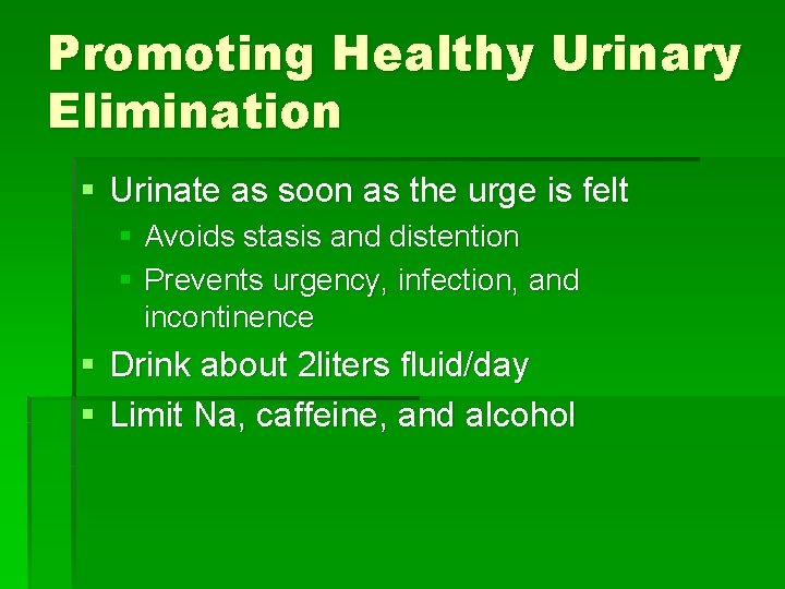Promoting Healthy Urinary Elimination § Urinate as soon as the urge is felt §