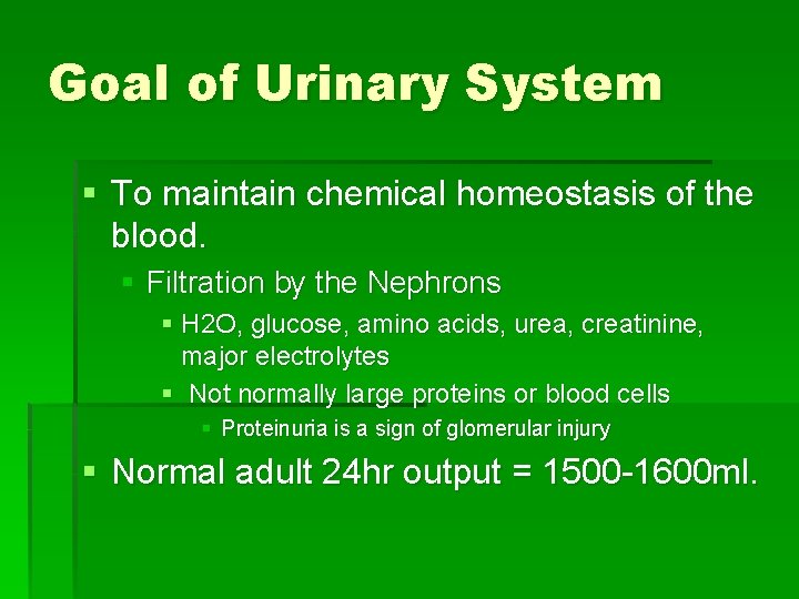 Goal of Urinary System § To maintain chemical homeostasis of the blood. § Filtration