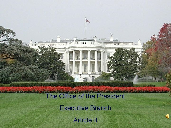 The Office of the President Executive Branch Article II 