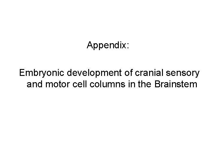 Appendix: Embryonic development of cranial sensory and motor cell columns in the Brainstem Appendix: Embryonic development of cranial sensory and motor cell columns in the Brainstem