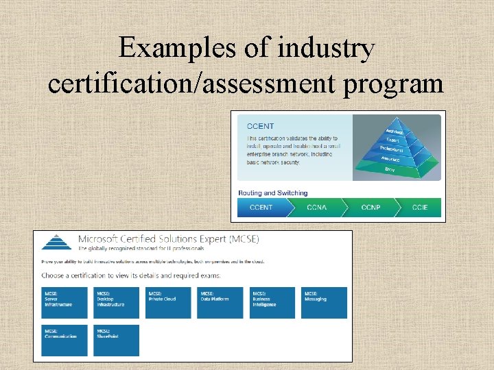Examples of industry certification/assessment program 