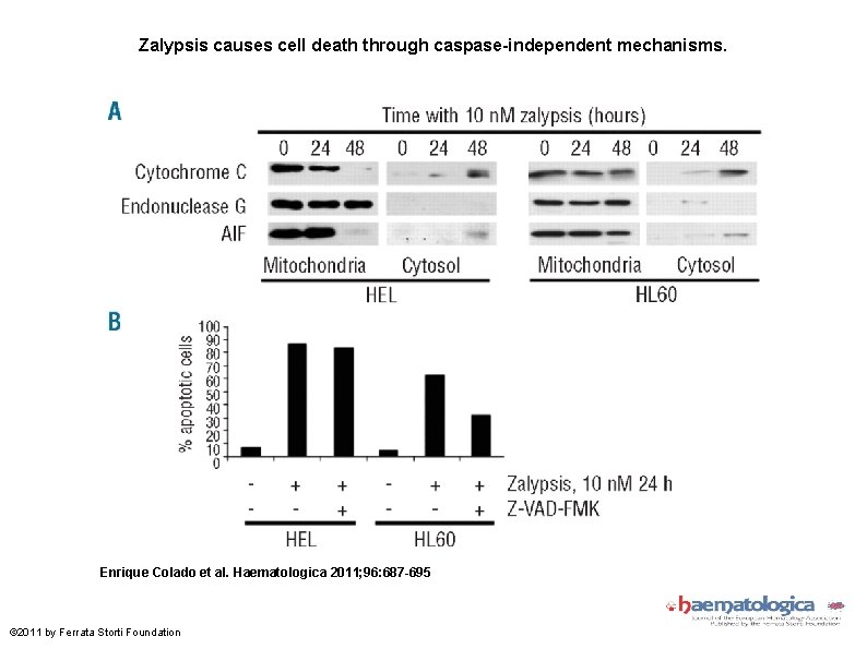 Zalypsis causes cell death through caspase-independent mechanisms. Enrique Colado et al. Haematologica 2011; 96: