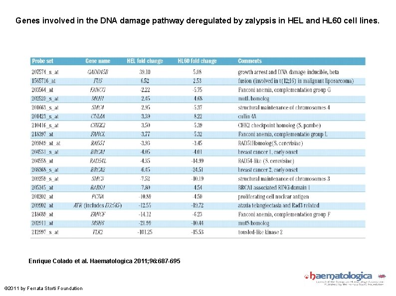 Genes involved in the DNA damage pathway deregulated by zalypsis in HEL and HL