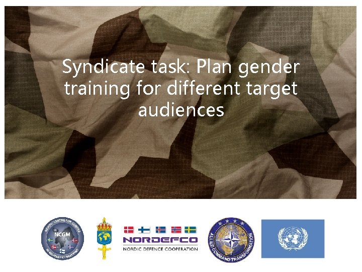 Syndicate task: Plan gender training for different target audiences 