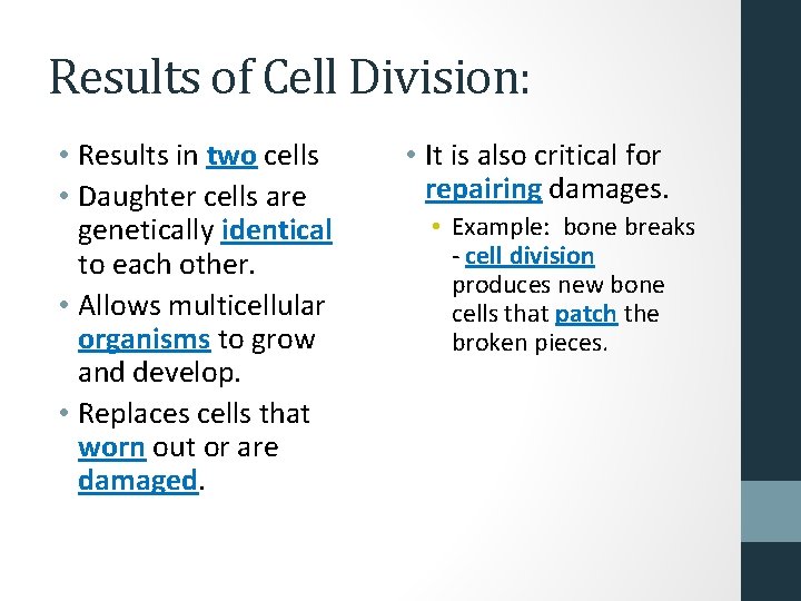 Results of Cell Division: • Results in two cells • Daughter cells are genetically