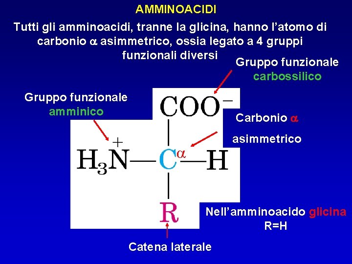 AMMINOACIDI Tutti gli amminoacidi, tranne la glicina, hanno l’atomo di carbonio a asimmetrico, ossia