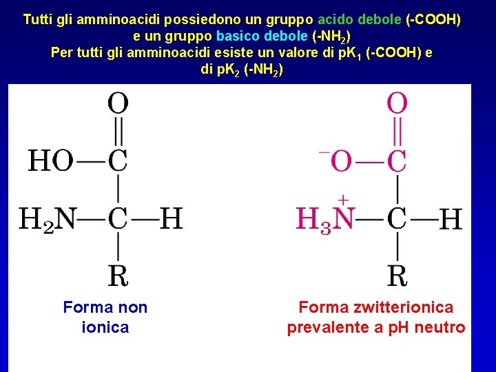 Tutti gli amminoacidi possiedono un gruppo acido debole (-COOH) e un gruppo basico debole