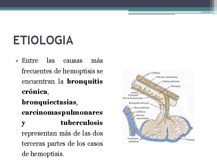 ETIOLOGIA • Entre las causas más frecuentes de hemoptisis se encuentran la bronquitis crónica,
