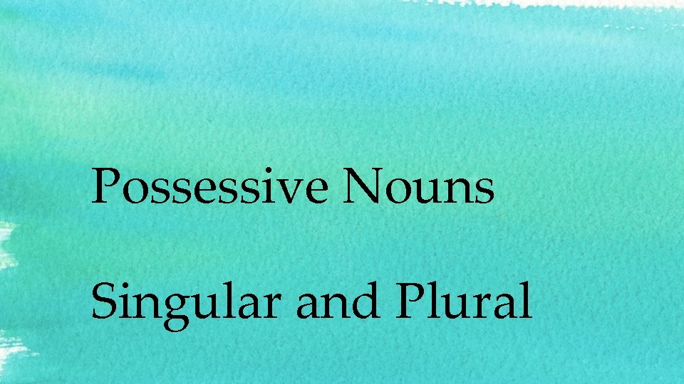 Possessive Nouns Singular and Plural 