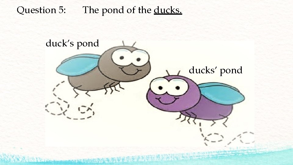 Question 5: The pond of the ducks. duck’s pond ducks’ pond 